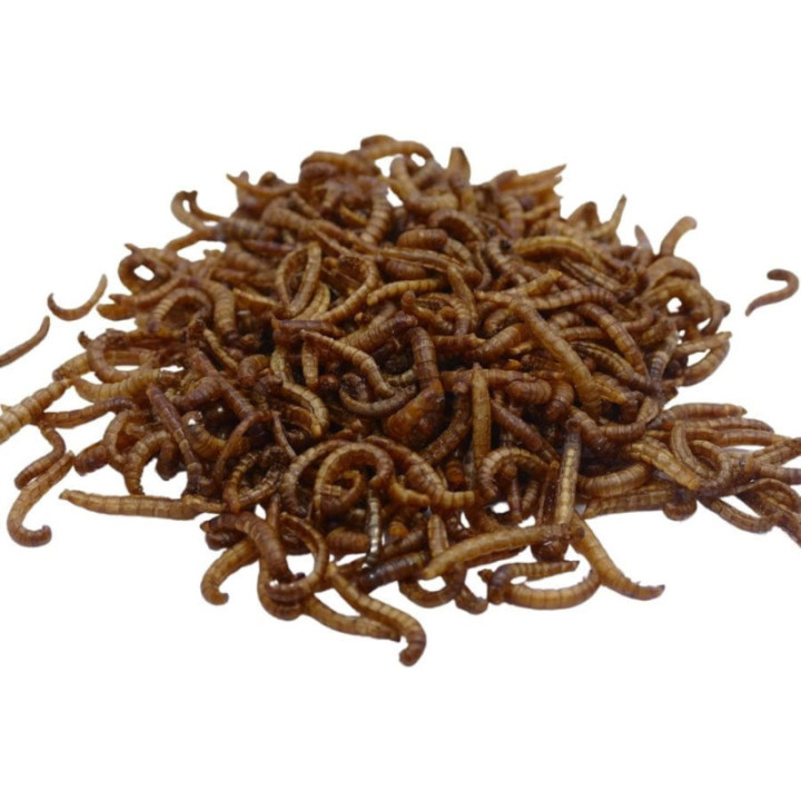 Chrupiące Robaczki - sól 20 g larwy mącznika