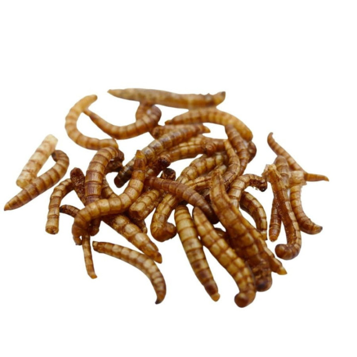Chrupiące Robaczki - sól 20 g larwy mącznika