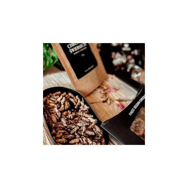 Zestaw Super Czwórka owady jadalne