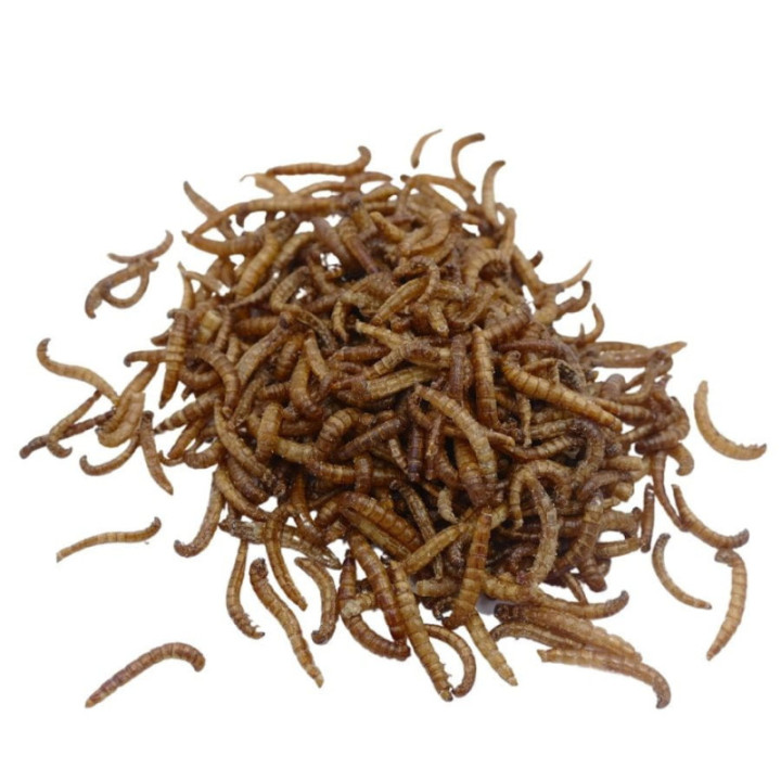 Chrupiące Robaczki - czosnek 20 g larwy mącznika