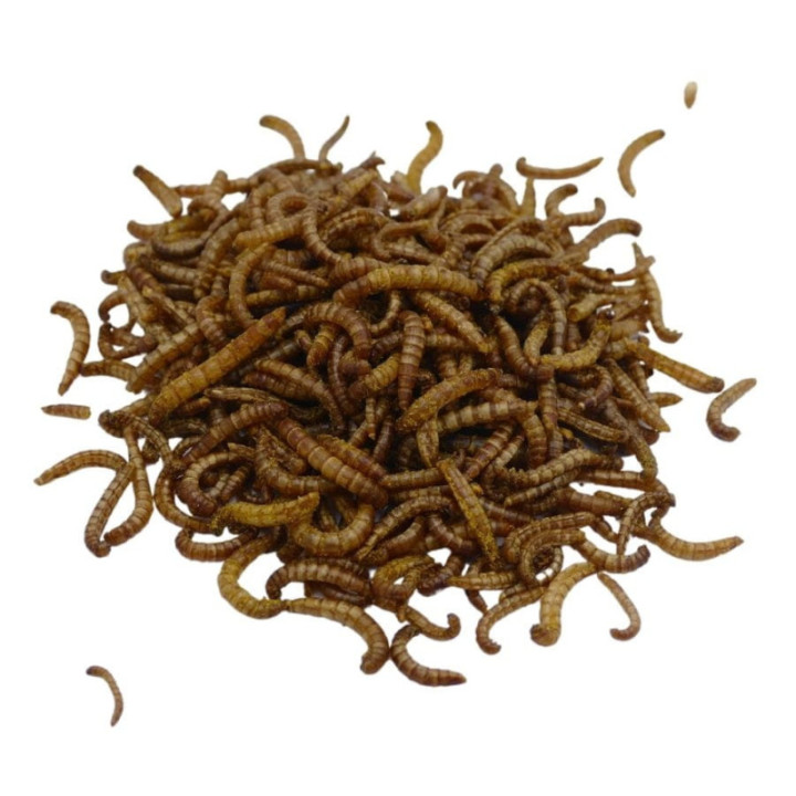 Chrupiące Robaczki - curry 20 g larwy mącznika