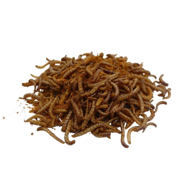 Chrupiące Robaczki - chilli 20 g larwy mącznika