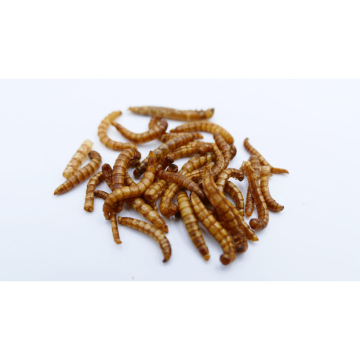 Zestaw 2 x Chrupiące Robaczki - sól cynamonowa 20 g larwy mącznika