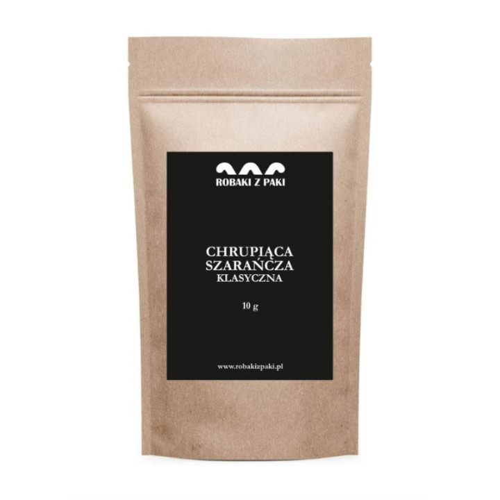 Zestaw 2 x Chrupiąca szarańcza - klasyczna 10 g