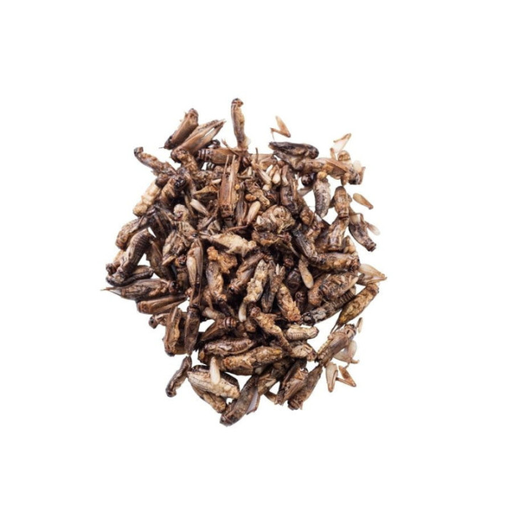 Chrupiące świerszcze - wasabi 20 g